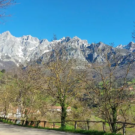 Apartment Rurales Picos De Redo Camaleno